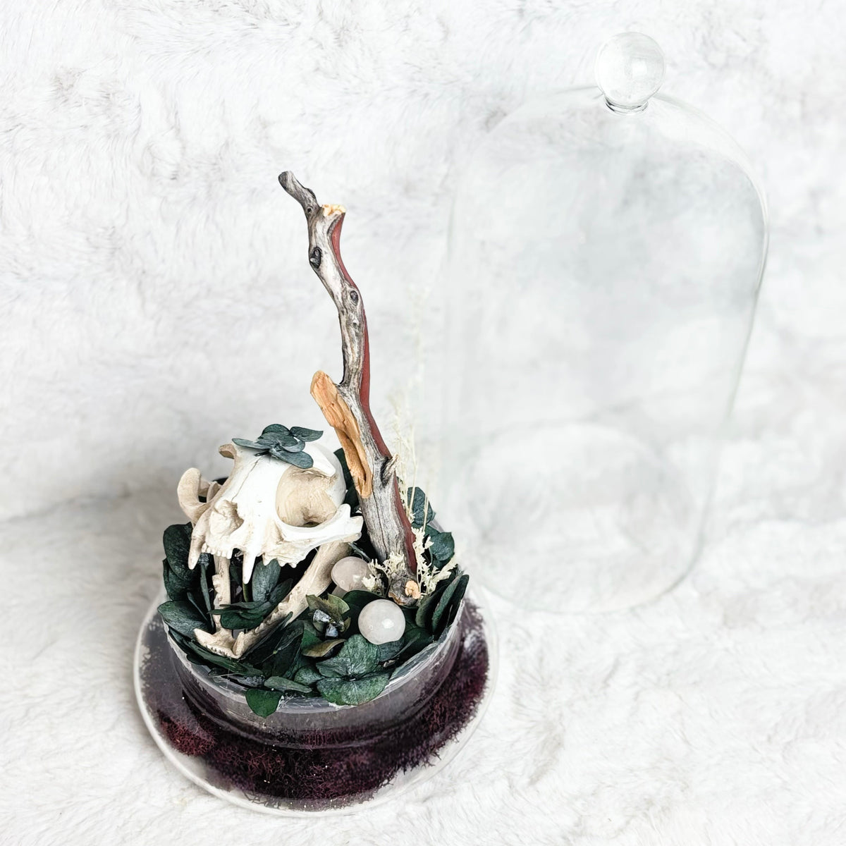 A small decorative woodland-themed miniature display in a round base, featuring faux green leaves, white mushrooms, a brown branch, and a clear glass cloche lid set against a white textured background.