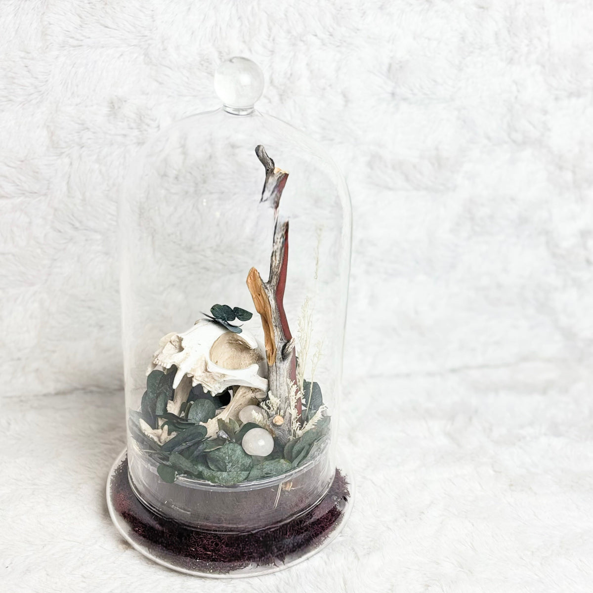 A small decorative dried-plant arrangement inside a clear glass cloche dome with a round base, photographed on a soft white textured fabric background.