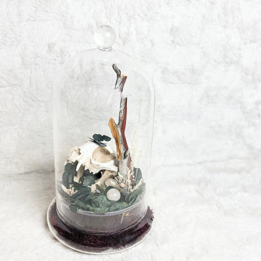 A small decorative dried-plant arrangement inside a clear glass cloche dome with a round base, photographed on a soft white textured fabric background.