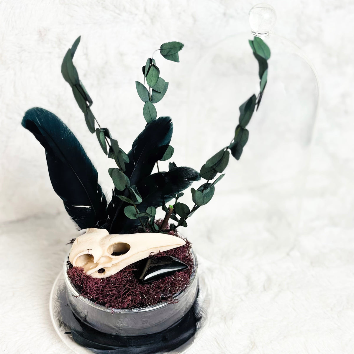 A gothic decorative arrangement in a glass terrarium-style holder, featuring dark green eucalyptus stems, black feathers, a cream bird skull, and a glossy black object on a white textured background.
