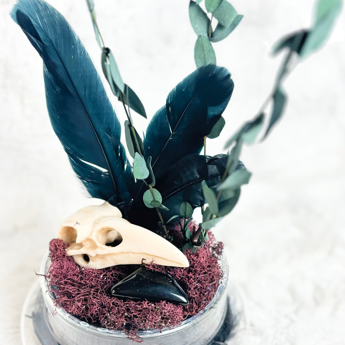 A decorative arrangement in a small round container featuring dark blue feathers, green eucalyptus stems, a cream bird skull, a dark glossy object, and burgundy moss on a white textured background.