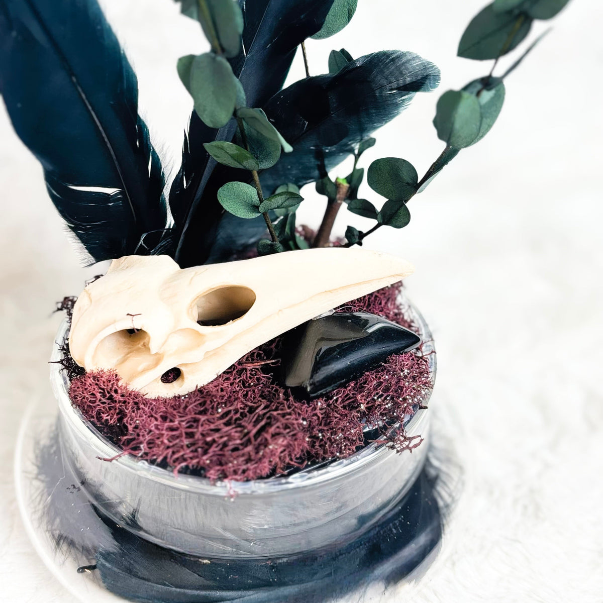 A gothic-style decorative arrangement in a small clear glass bowl, featuring black feathers, green eucalyptus stems, a cream bird skull, and dark shell pieces resting on textured burgundy moss.
