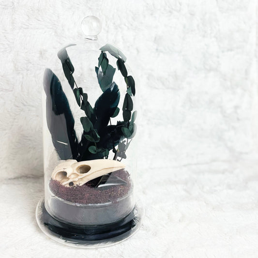 A clear glass cloche dome with a small round knob on top, containing dark green leaf-shaped pieces, a small beige skull, and a dark textured base, set against a white textured background.