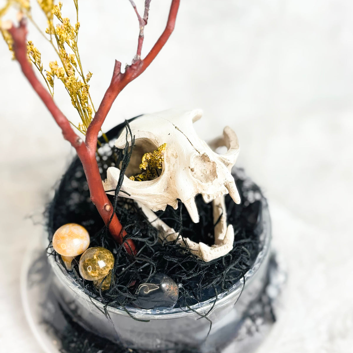 A decorative tabletop arrangement featuring a white animal skull resting in black shredded moss or turf, with a red branch topped by small yellow dried flowers and two small polished gold-toned stones, all set in a shallow round dish on a light textured surface.