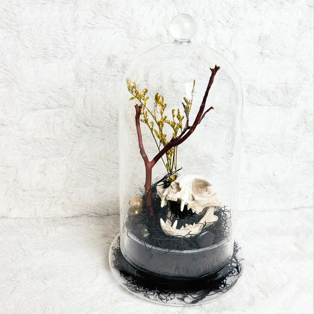 A small decorative dried floral arrangement under a clear glass cloche dome, displayed on a white textured surface against a white textured background. The arrangement includes dark brown branches, pale yellow flowers, and a white skull on a black base with black spider decorations.