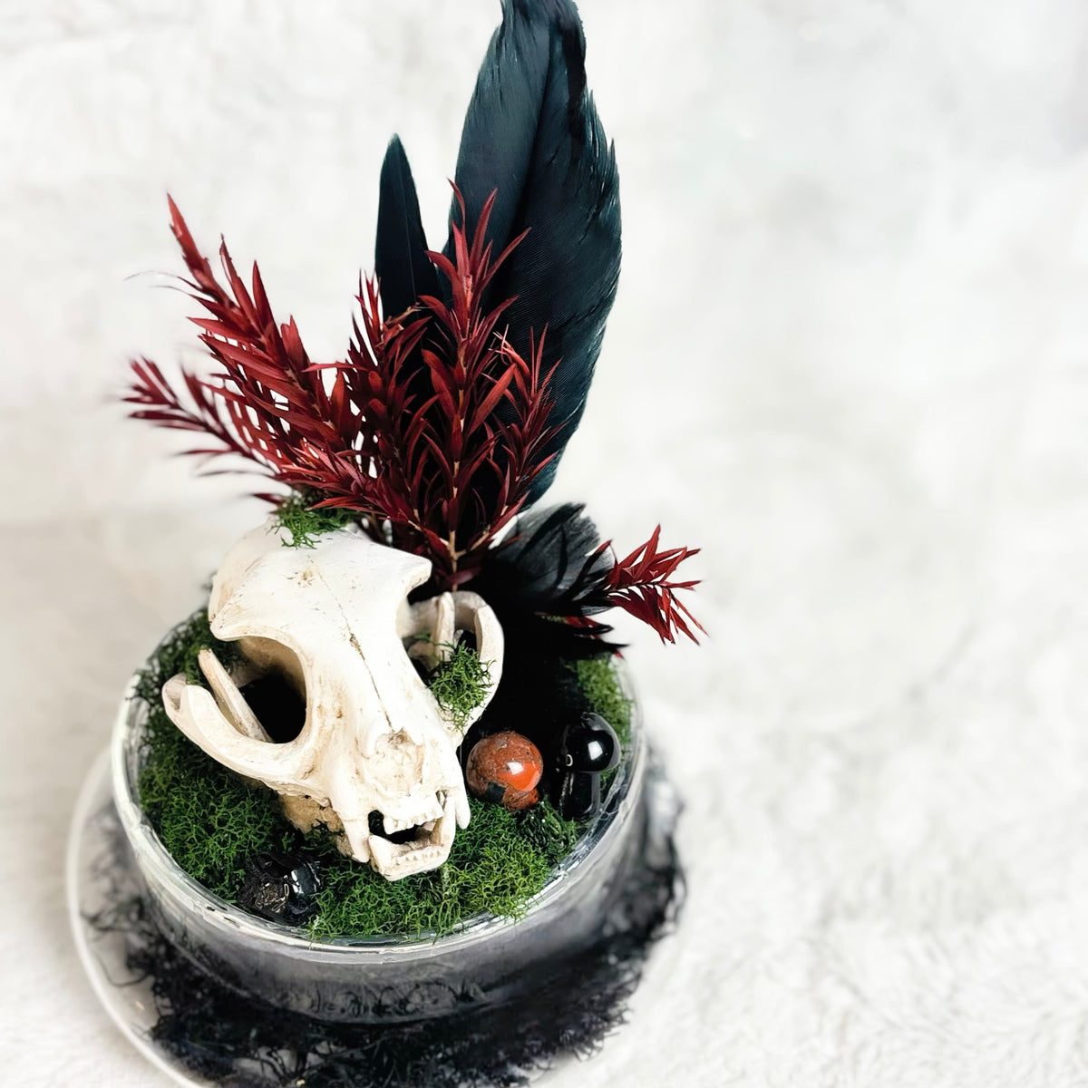 A decorative miniature arrangement in a shallow round glass dish, featuring a white animal skull, dark red artificial foliage, a large black feather, green moss, and small dark stones on a white textured background.