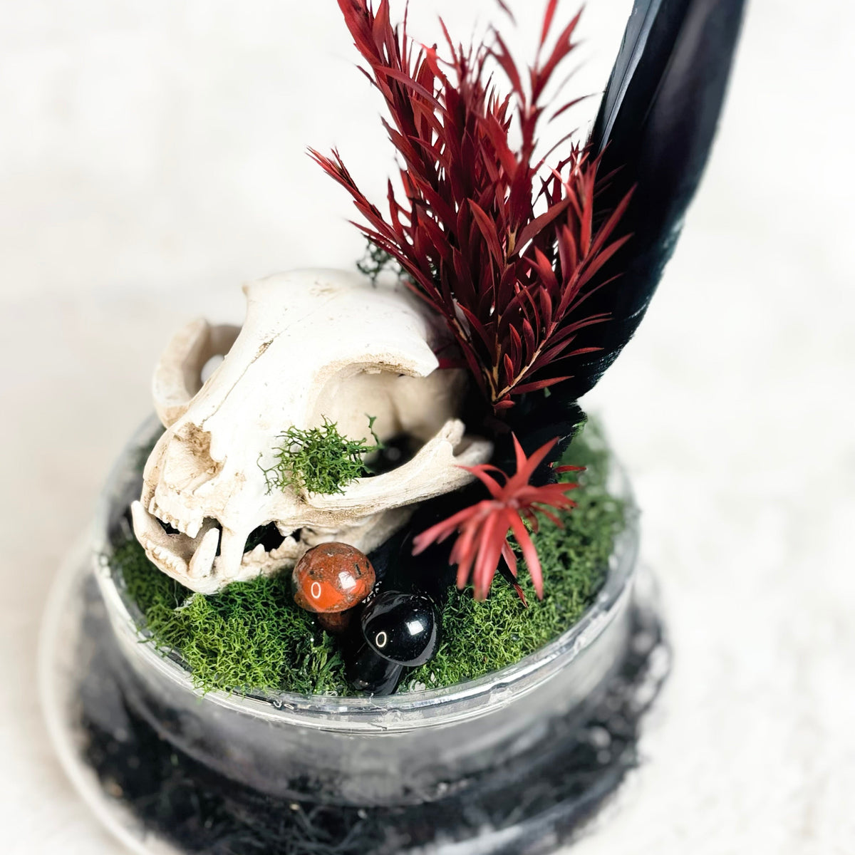 A gothic-style miniature tabletop decoration featuring a small animal skull, green moss, red dried grass, a black feather, and two small decorative beads in a clear glass jar.