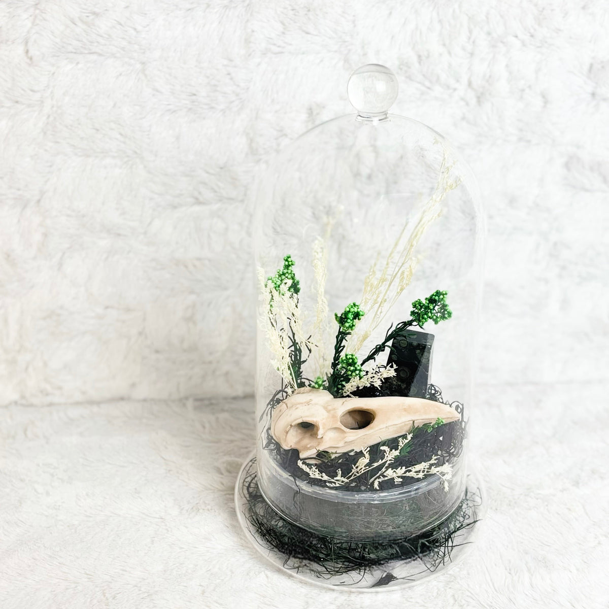 A gothic-style preserved specimen display inside a clear glass cloche dome, featuring a beige animal skull, small green leaves, dried white grasses, and black moss on a textured white background.