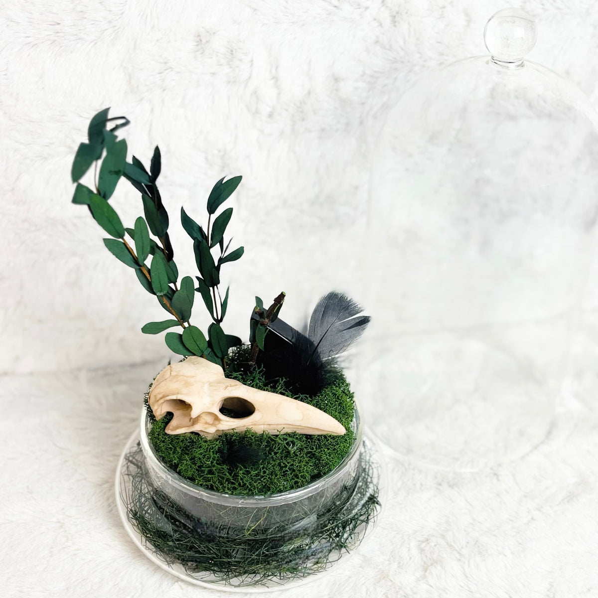 A small decorative arrangement in a clear round glass jar filled with green moss, featuring a light wood bird skull, dark green leaves, a black bird figurine with gray feathers, and green fiber at the base, set against a white textured background.