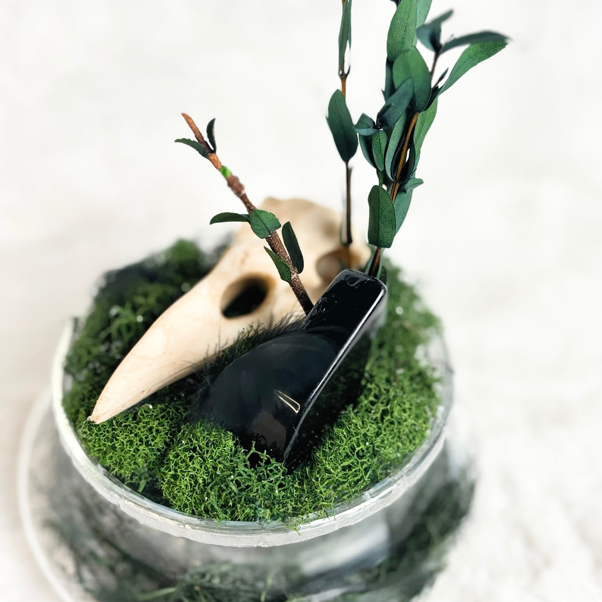 A decorative tabletop arrangement in a clear round glass bowl filled with bright green moss, featuring a pale carved bird skull, a glossy black object, and several green leafy stems on a white background.