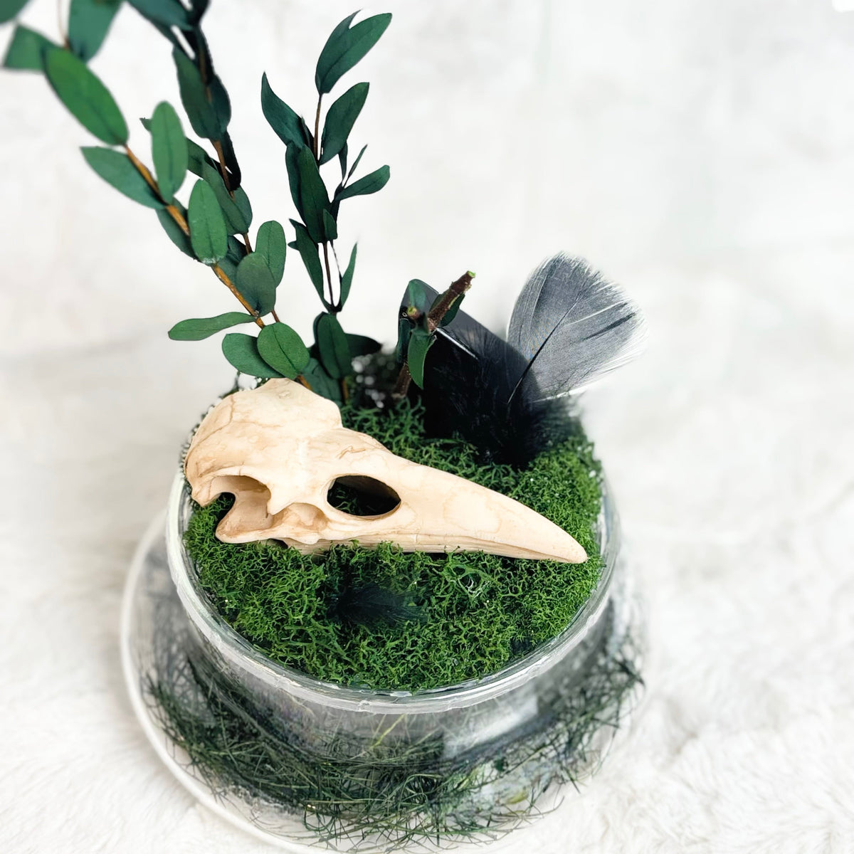 A decorative bird skull arrangement in a clear glass jar filled with green moss, accented with a green leafy branch, a black feather, and a small bird figurine, set against a soft white textured background.