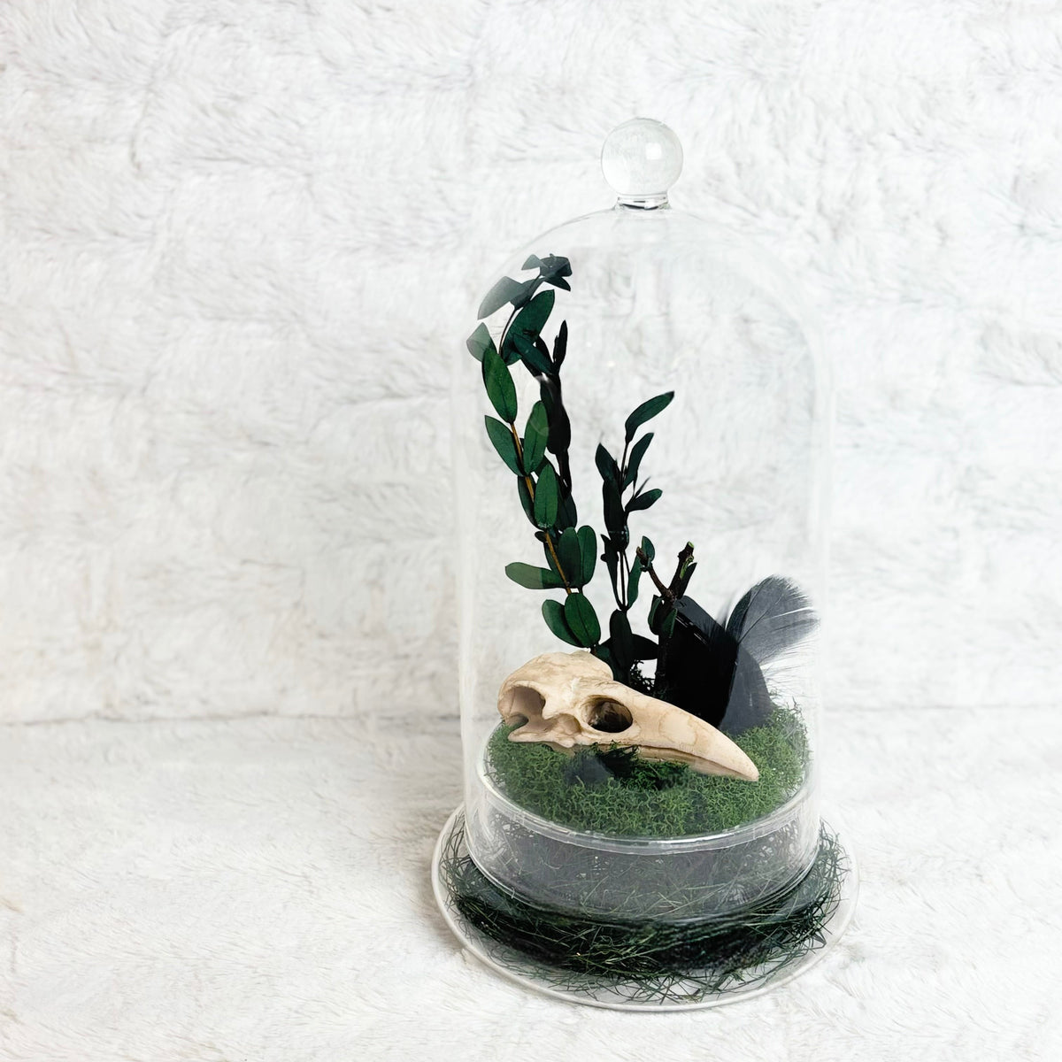 A small decorative terrarium under a clear glass cloche, featuring green artificial foliage, a beige bird skull, and a black bird figurine on a textured white background.