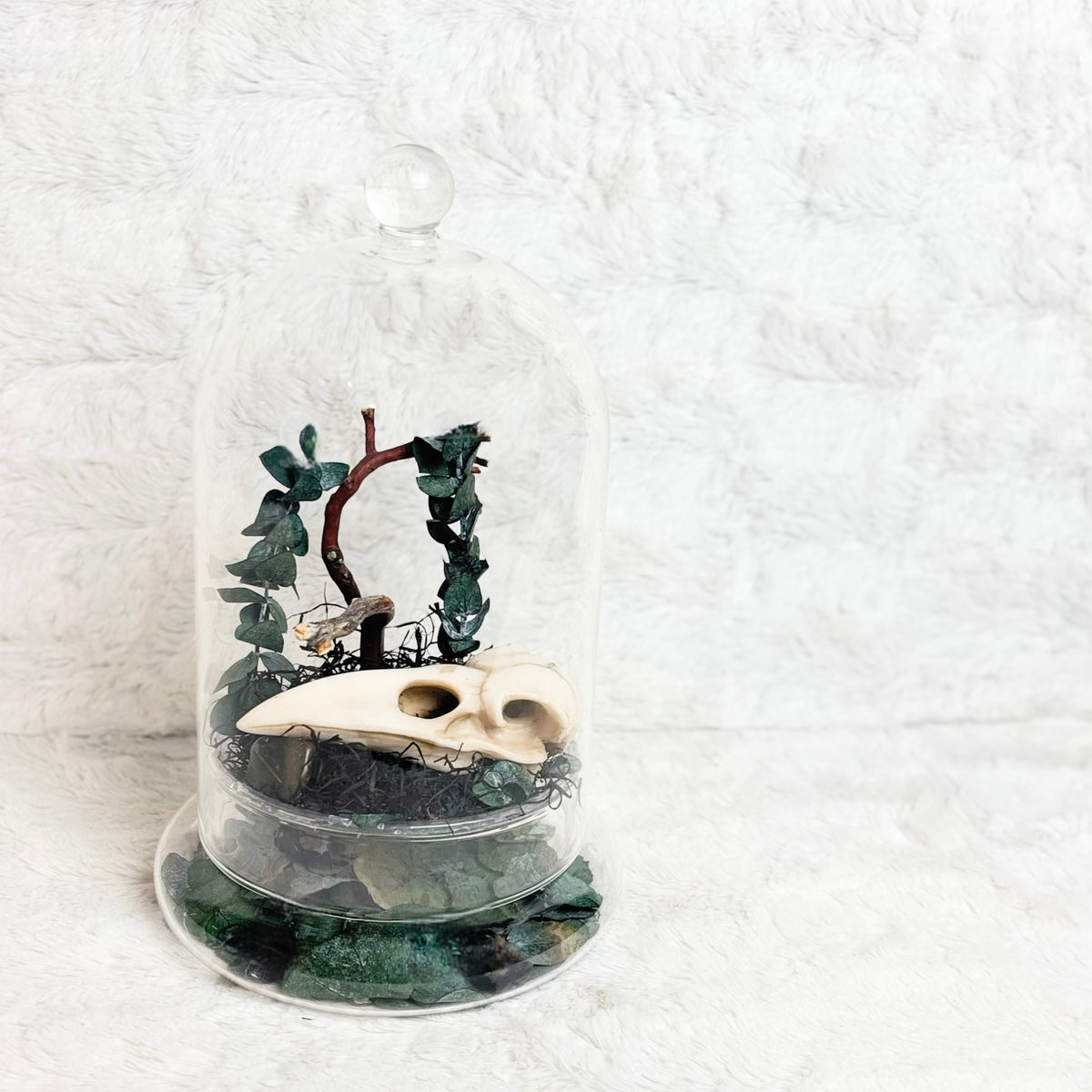 A small decorative cloche display under a clear glass dome, featuring a cream-colored animal skull, dark green ivy, a brown branch, and green stones at the base, set against a white textured background.