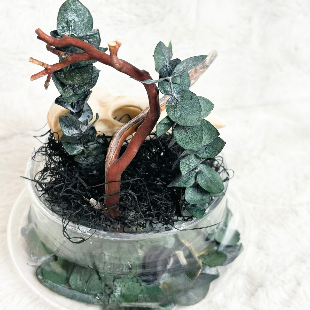 A decorative miniature artificial plant arrangement in a clear round glass container, featuring green leaves, a curved reddish-brown branch, black shredded moss, and a small beige flower accent, set against a soft white textured background.