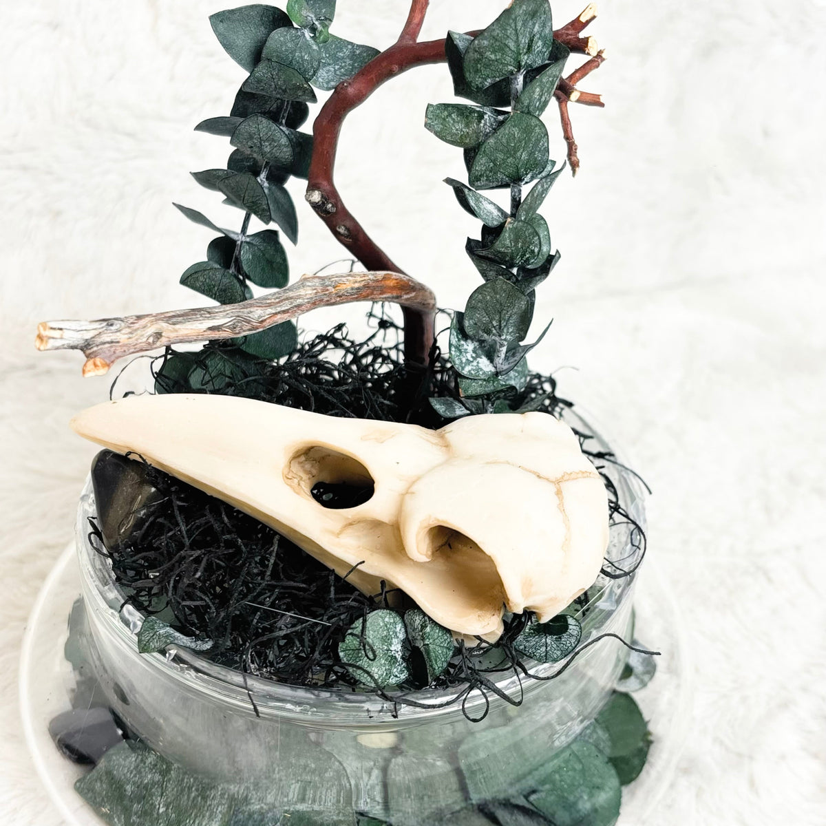 A decorative miniature forest scene in a round glass jar, featuring a cream-colored animal skull, dark green eucalyptus leaves, a brown branch, black shredded moss, and green stones on a white textured background.