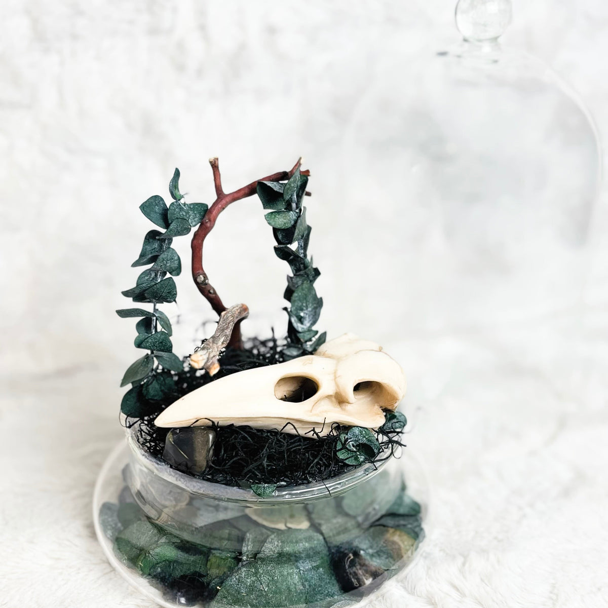 A small decorative arrangement in a clear glass bowl, featuring a cream bird skull, dark green eucalyptus leaves, a brown twig arch, black moss, and green stones, set against a soft white textured background.