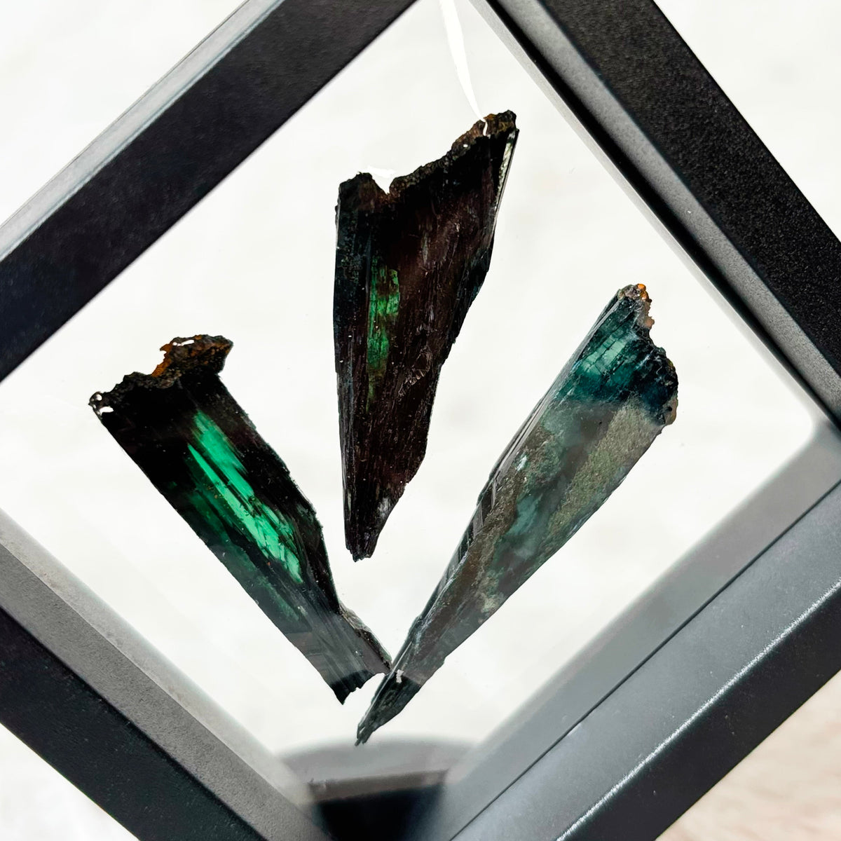 Three framed Vivianite specimens on a white background