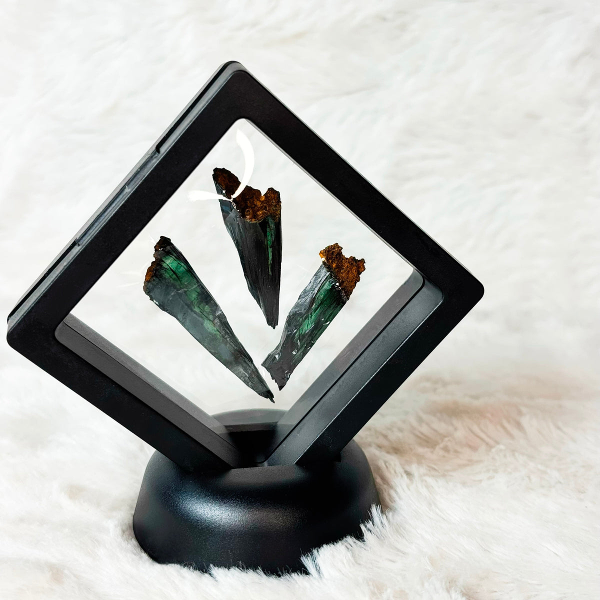 Three framed Vivianite specimens on a white background