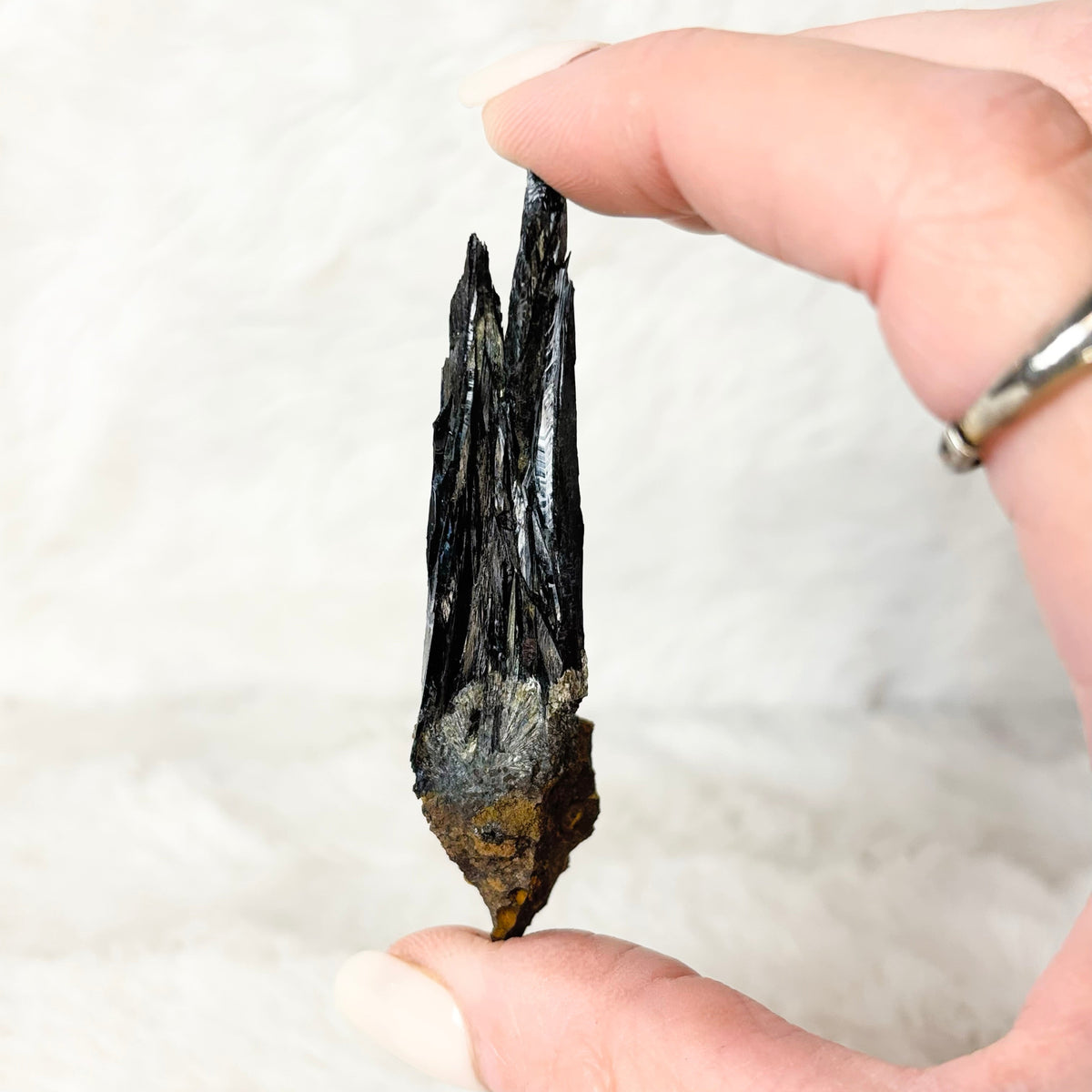Hand holding a Vivianite specimen on a white background