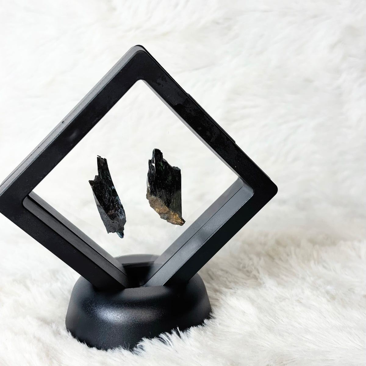 Framed Vivianite specimens on a white background