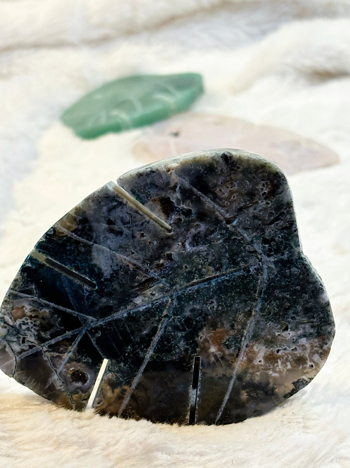 Piedras en forma de hoja de Monstera