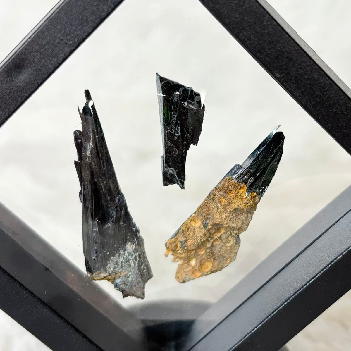 Framed Vivianite specimens on a white background