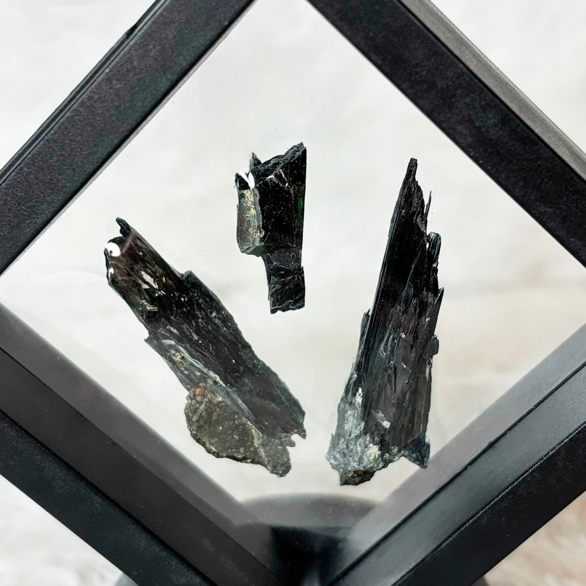 Framed Vivianite specimens on a white background