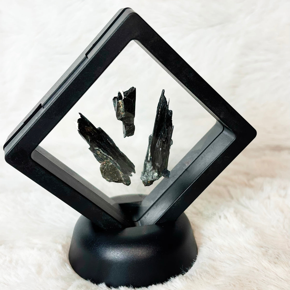 Framed Vivianite specimens on a white background