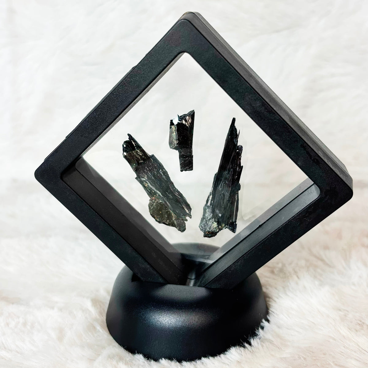 Framed Vivianite specimens on a white background