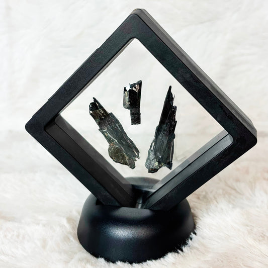 Framed Vivianite specimens on a white background