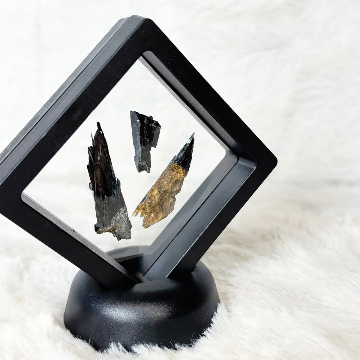 Framed Vivianite specimens on a white background