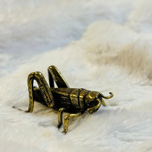 Grasshopper | Brass