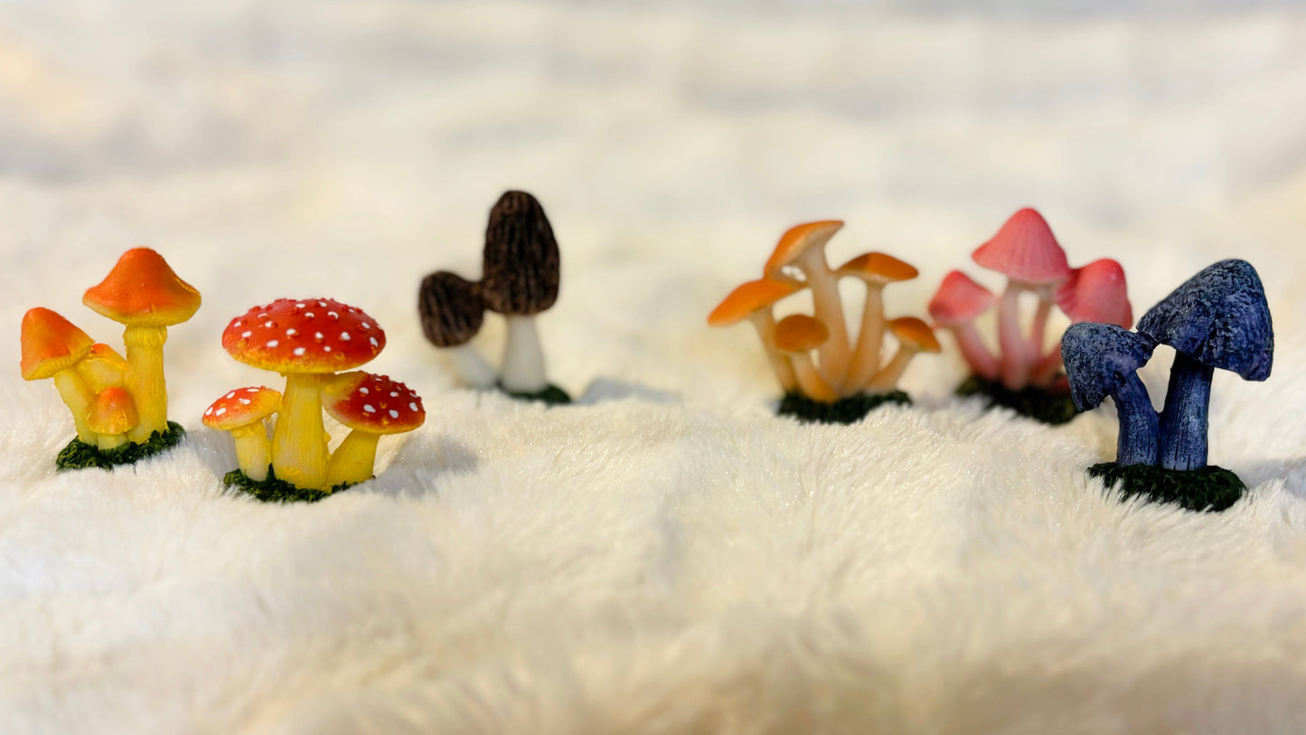 Mini Mushies