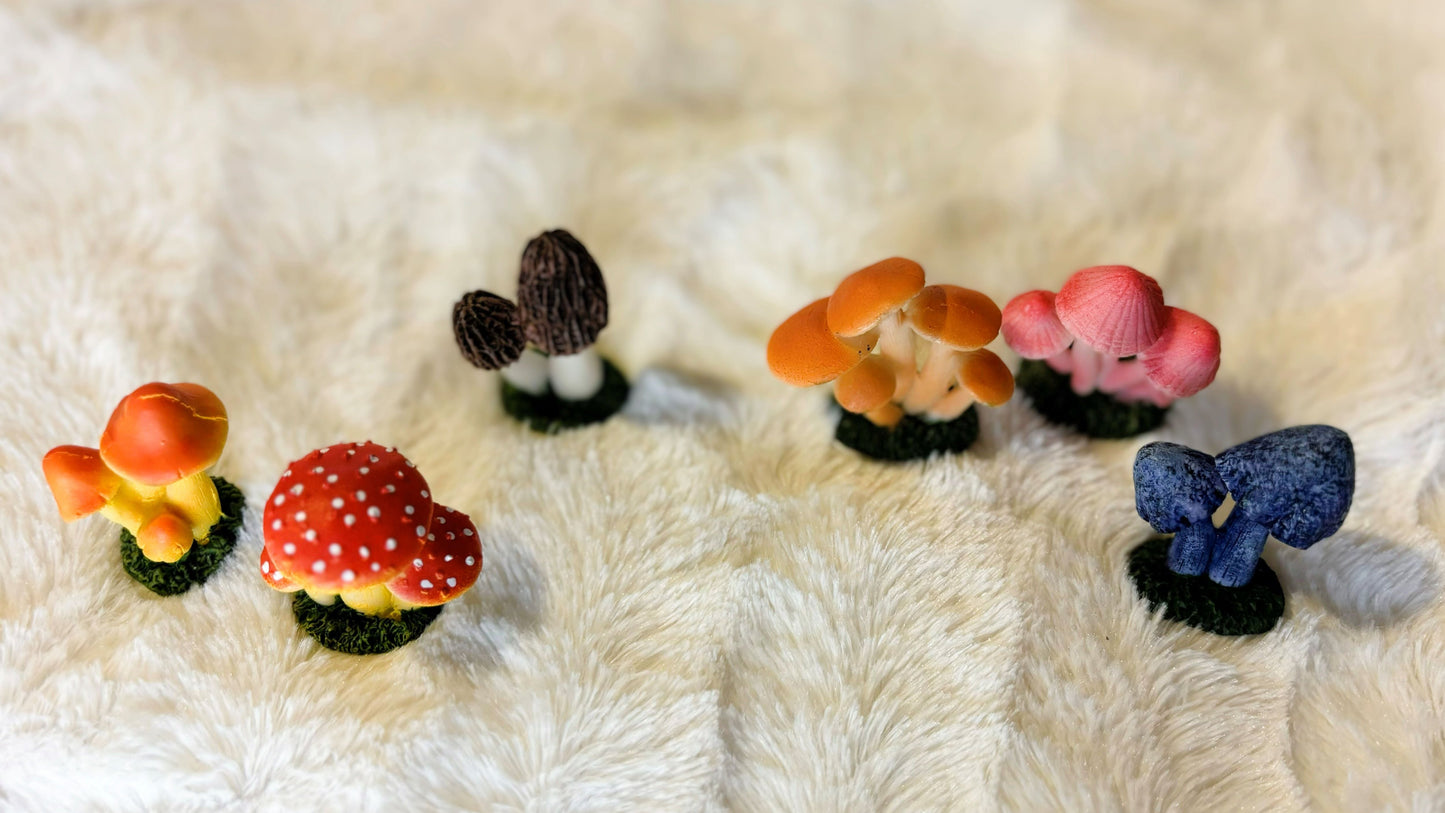 Mini Mushies