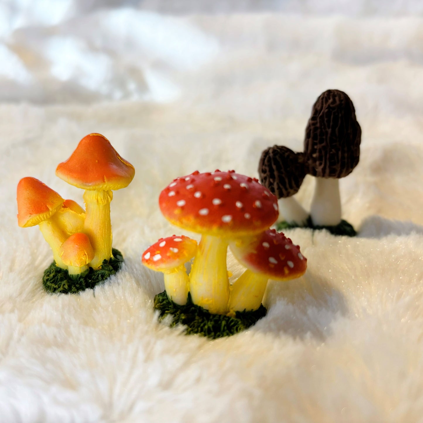 Mini Mushies