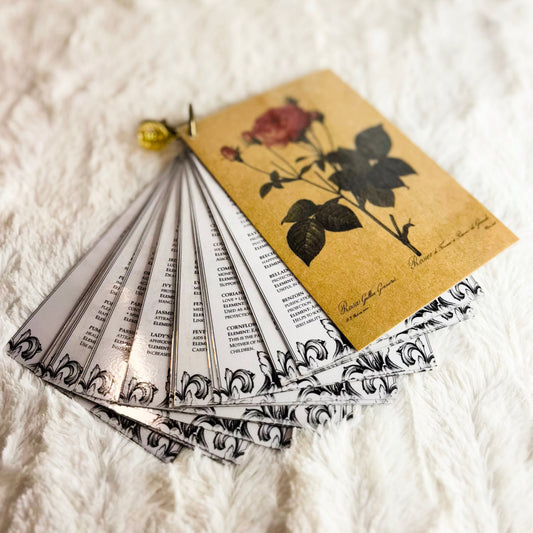Herb Information Cards