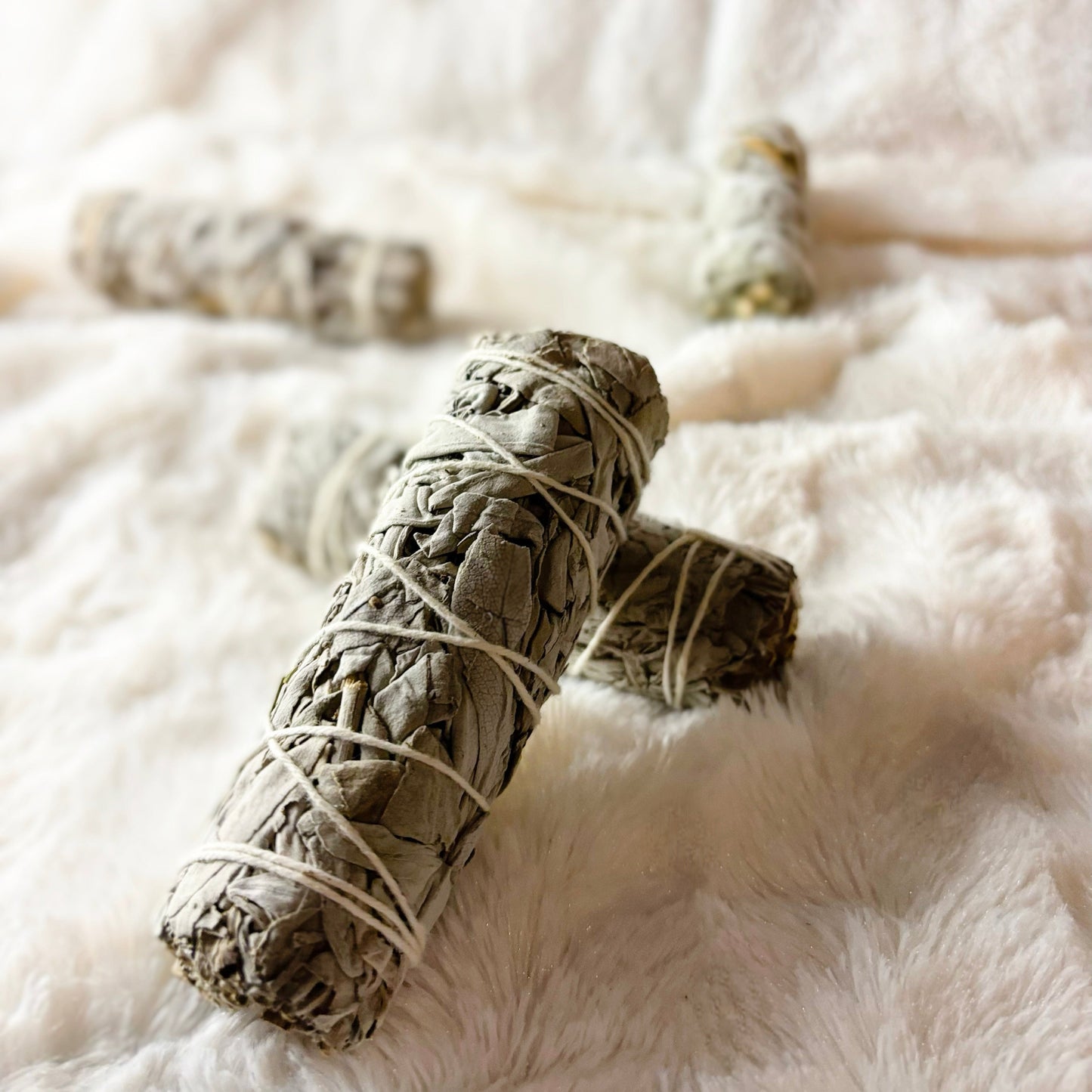 White Sage Herb Bundle