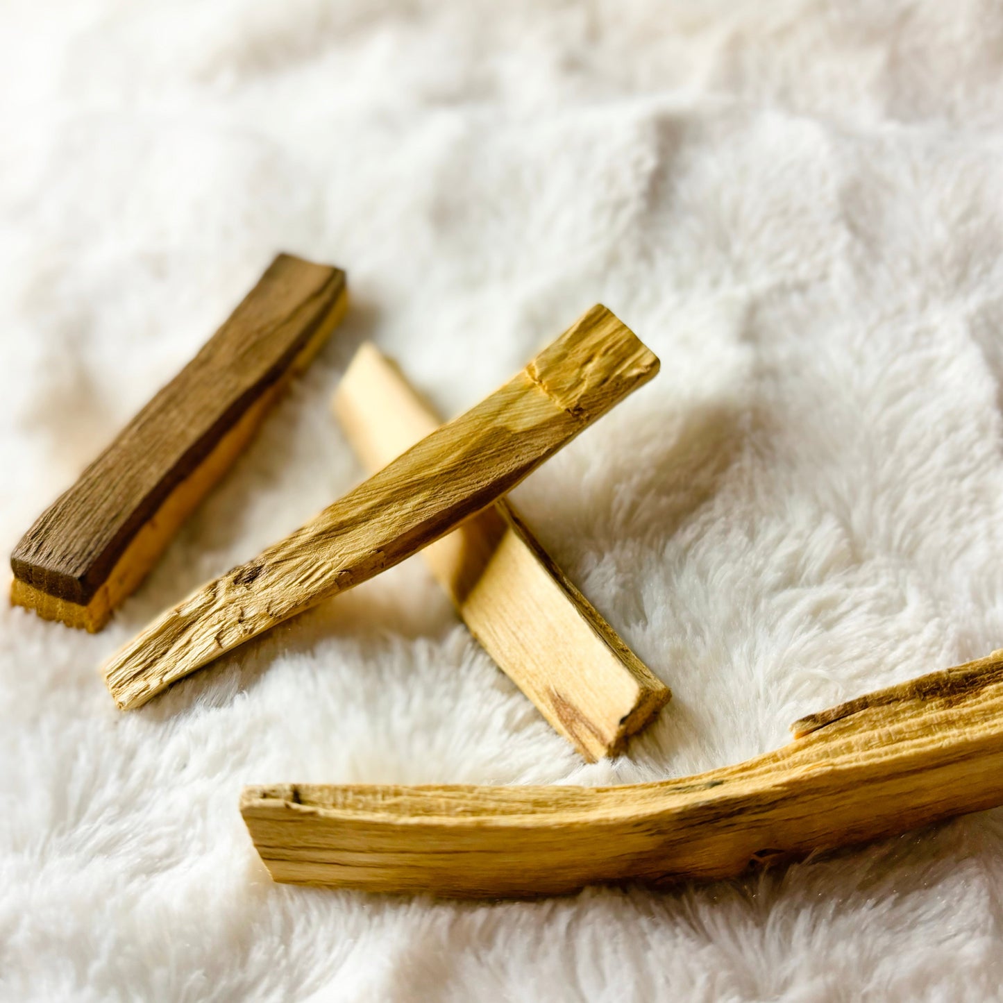 Palo Santo Sticks (5 Count)