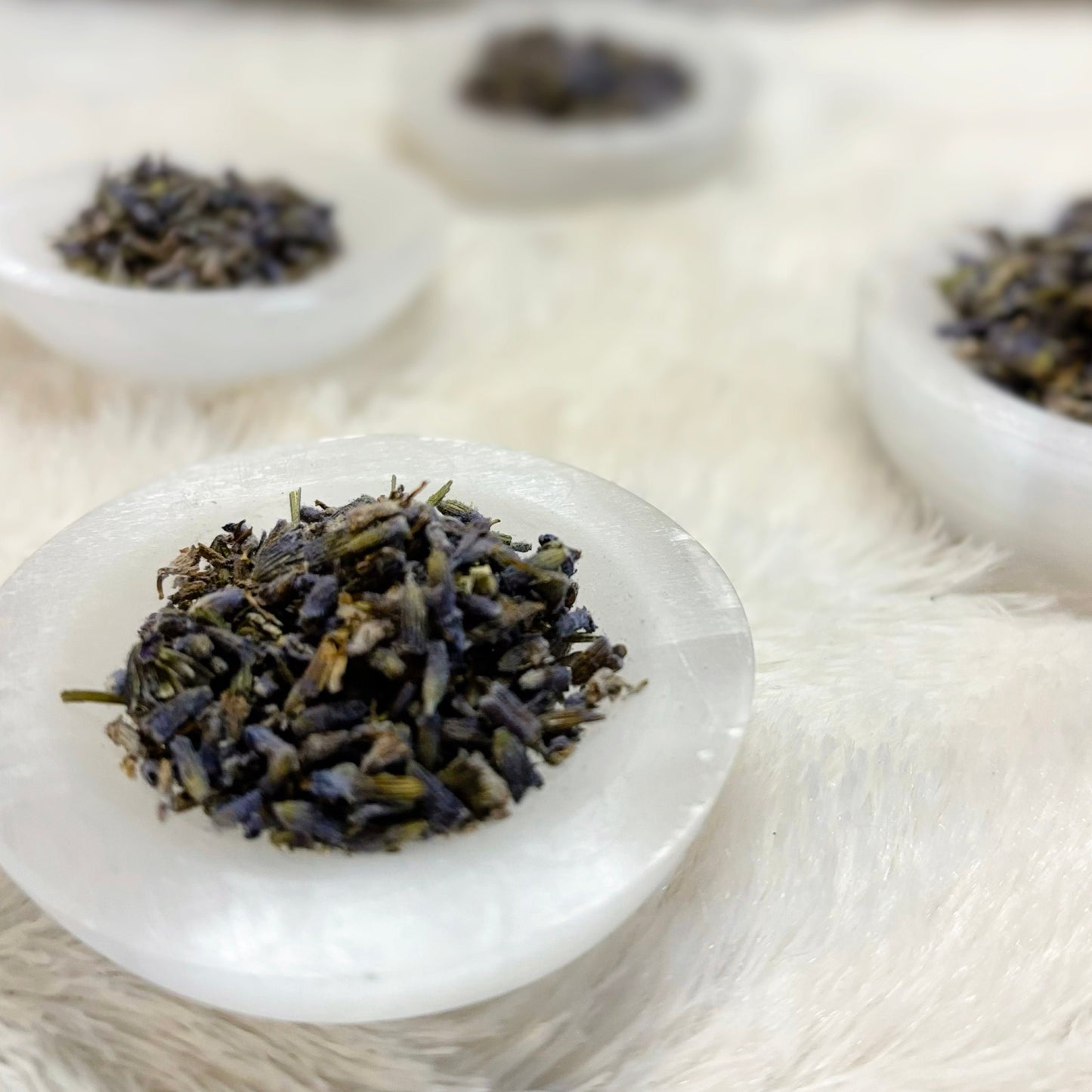 Dried Herbs | Lavender