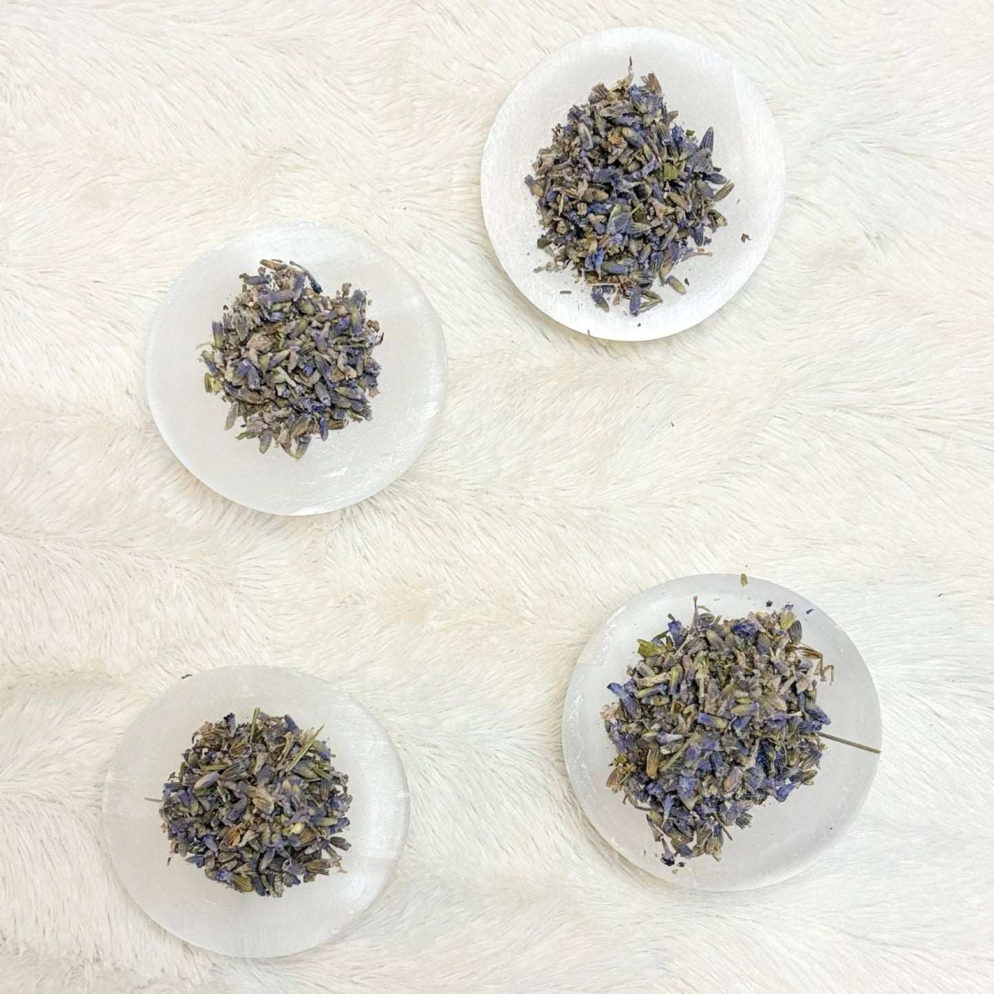 Dried Herbs | Lavender