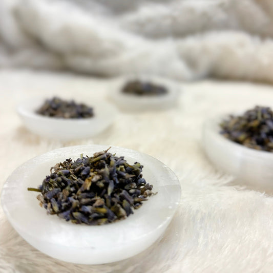 Dried Herbs | Lavender