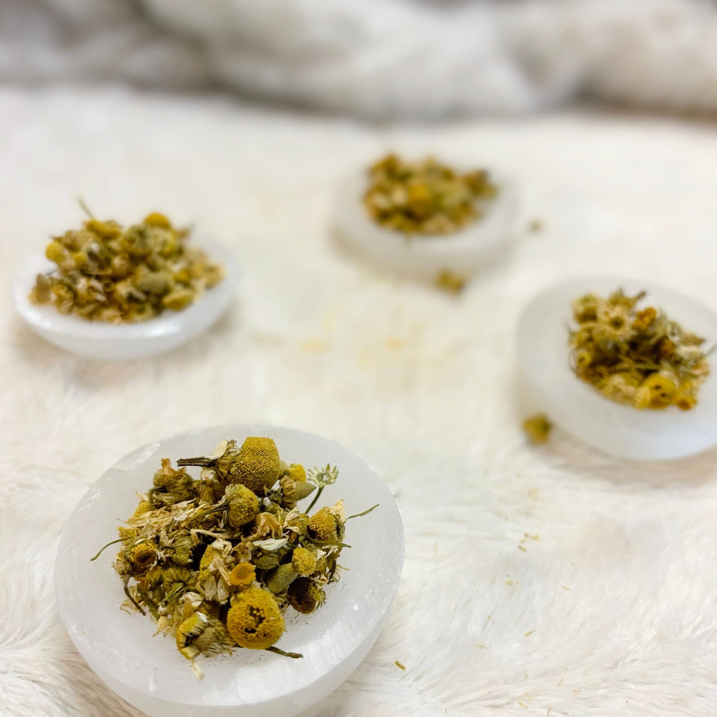 Dried Herbs | Chamomile