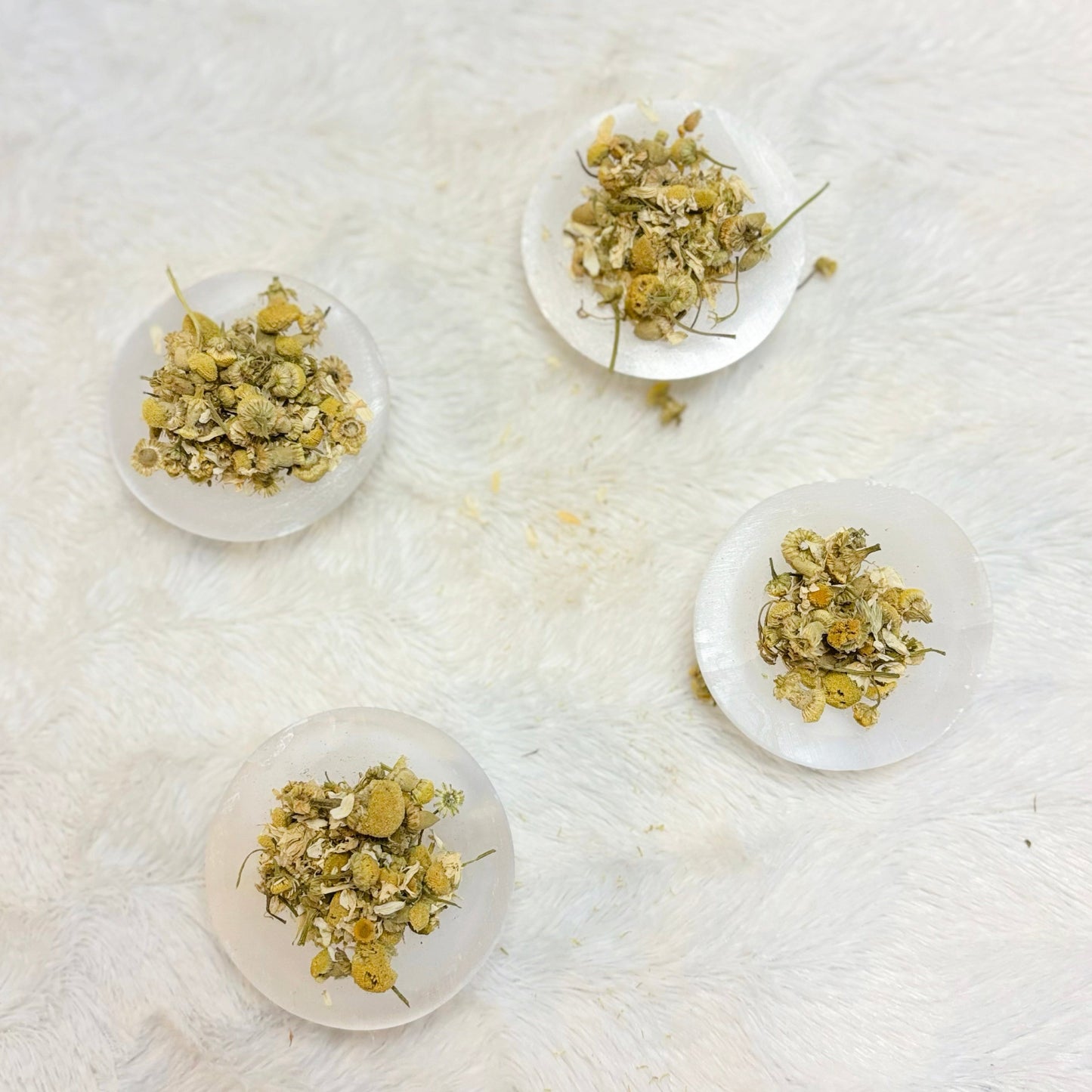 Dried Herbs | Chamomile