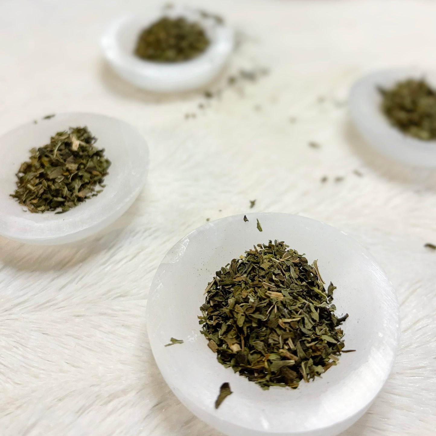 Dried Herbs | Peppermint