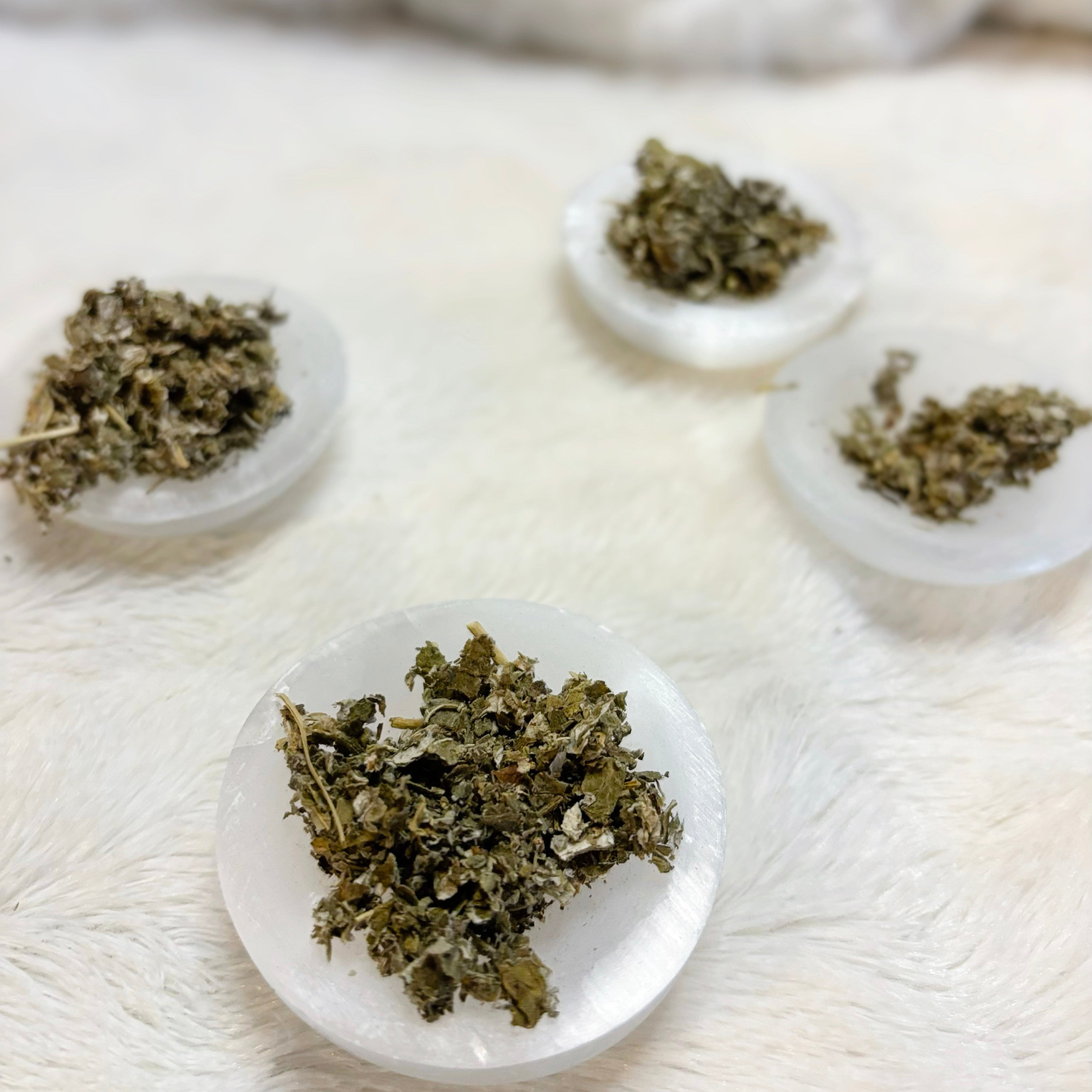 Dris Raspbry Dried Herbs | Raspberry Leaf – The Green Witches Shoppe