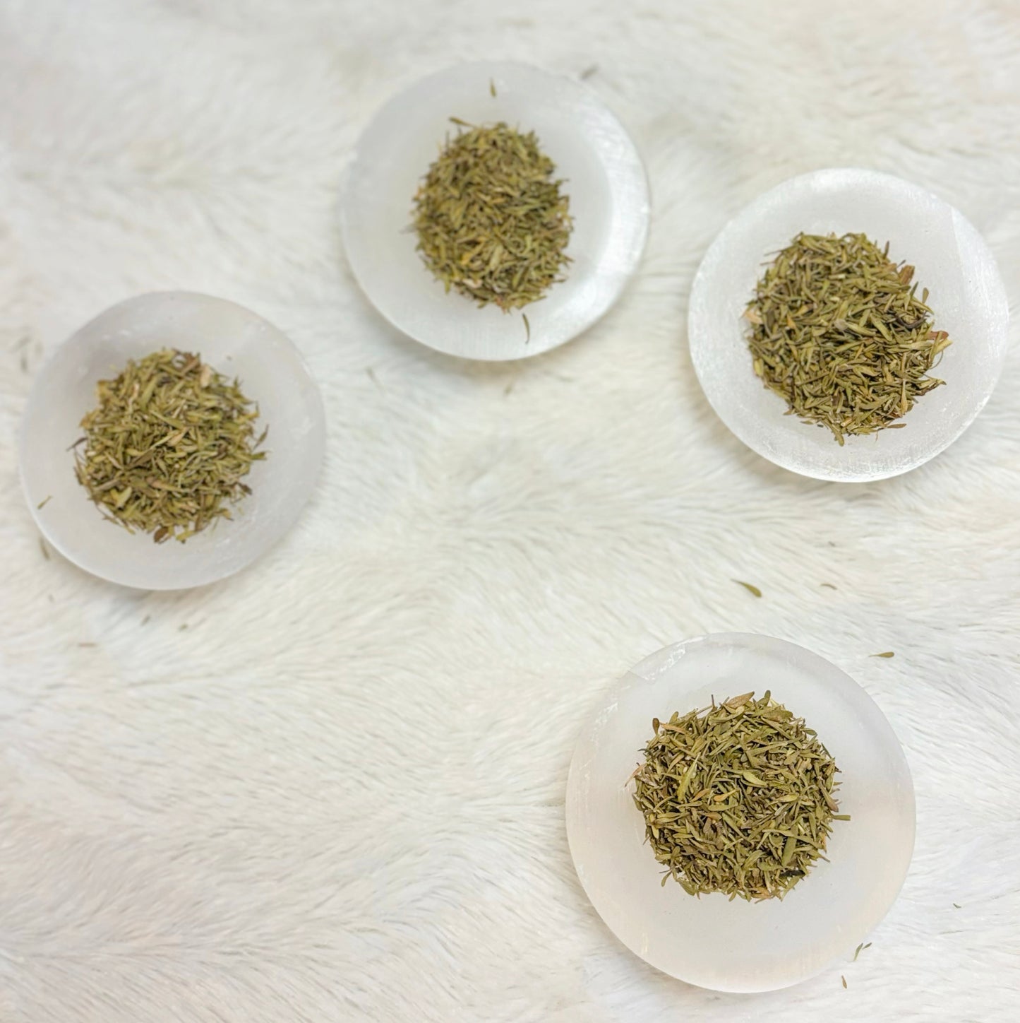 Dried Herbs | Thyme