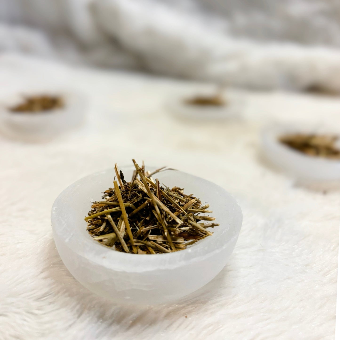 Dried Herbs | Wormwood