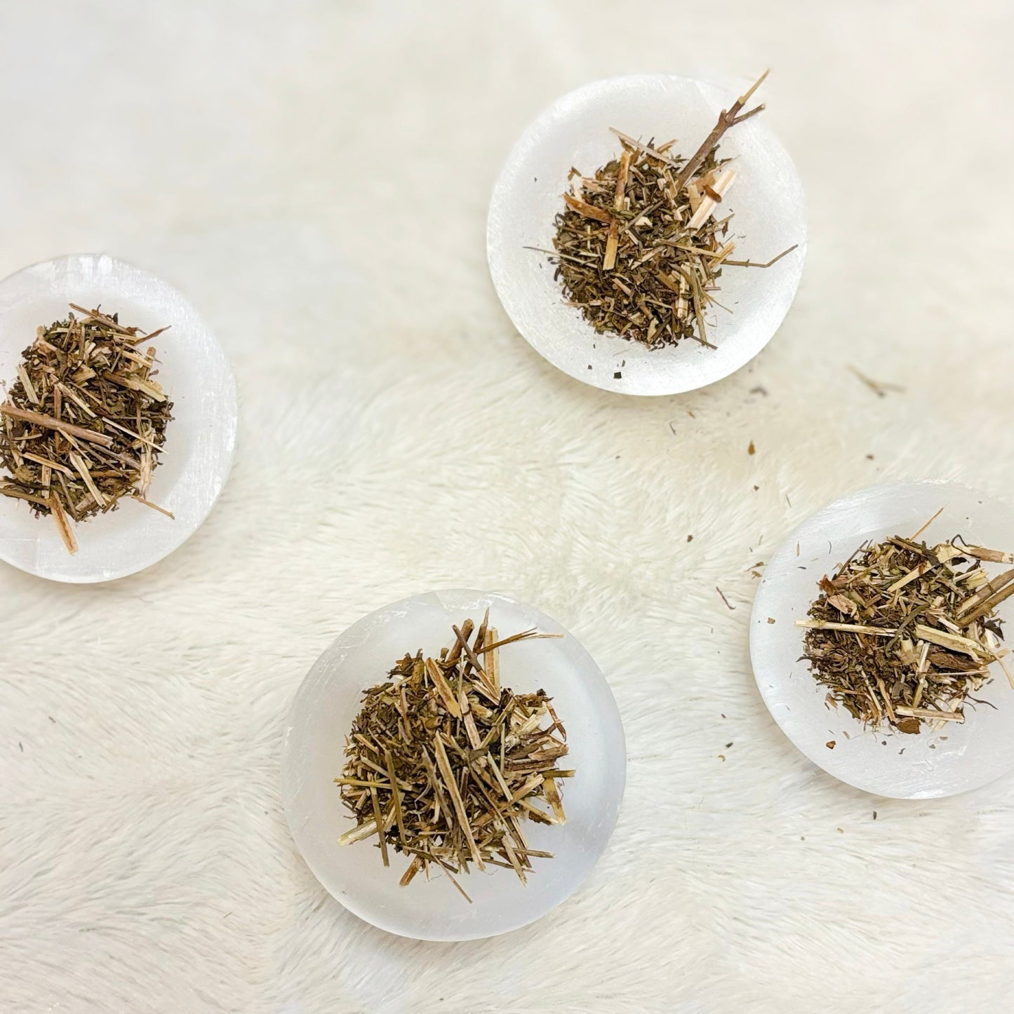 Dried Herbs | Wormwood