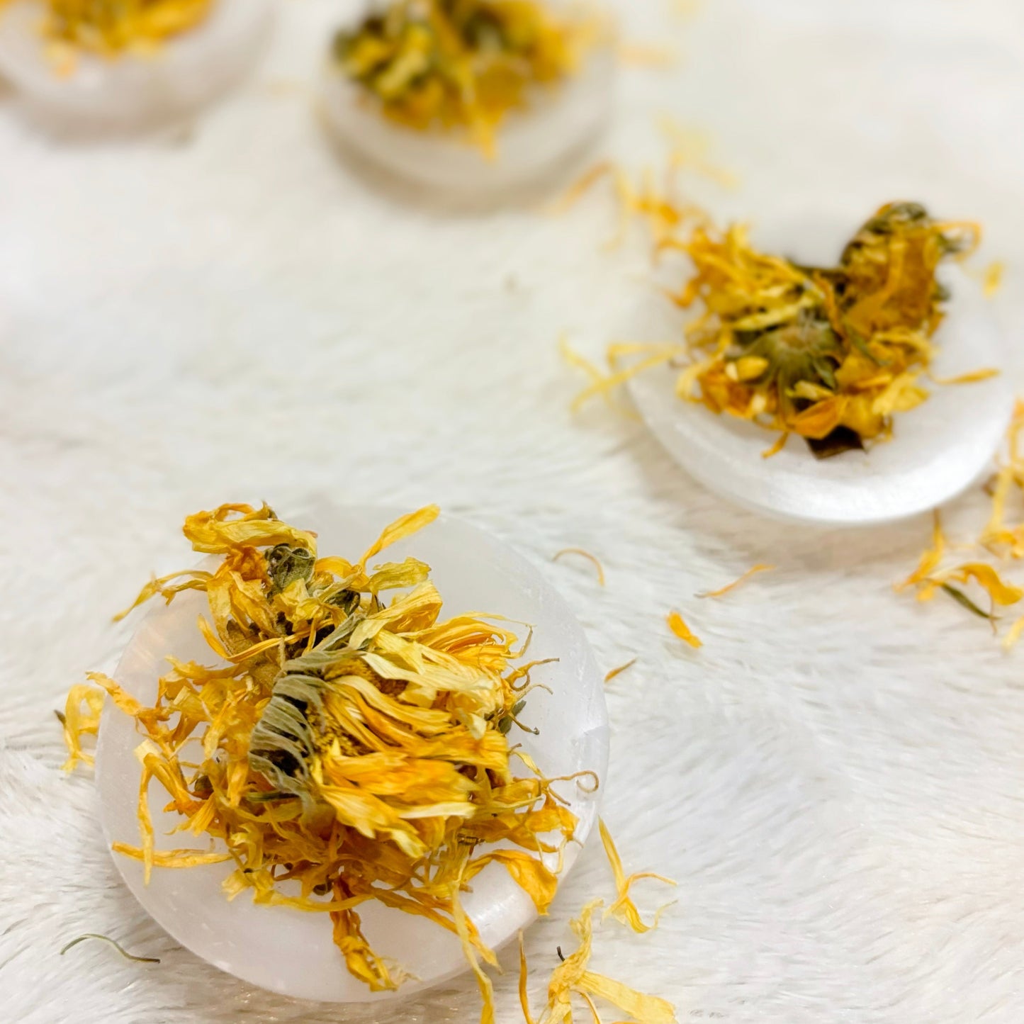 Dried Herbs | Calendula