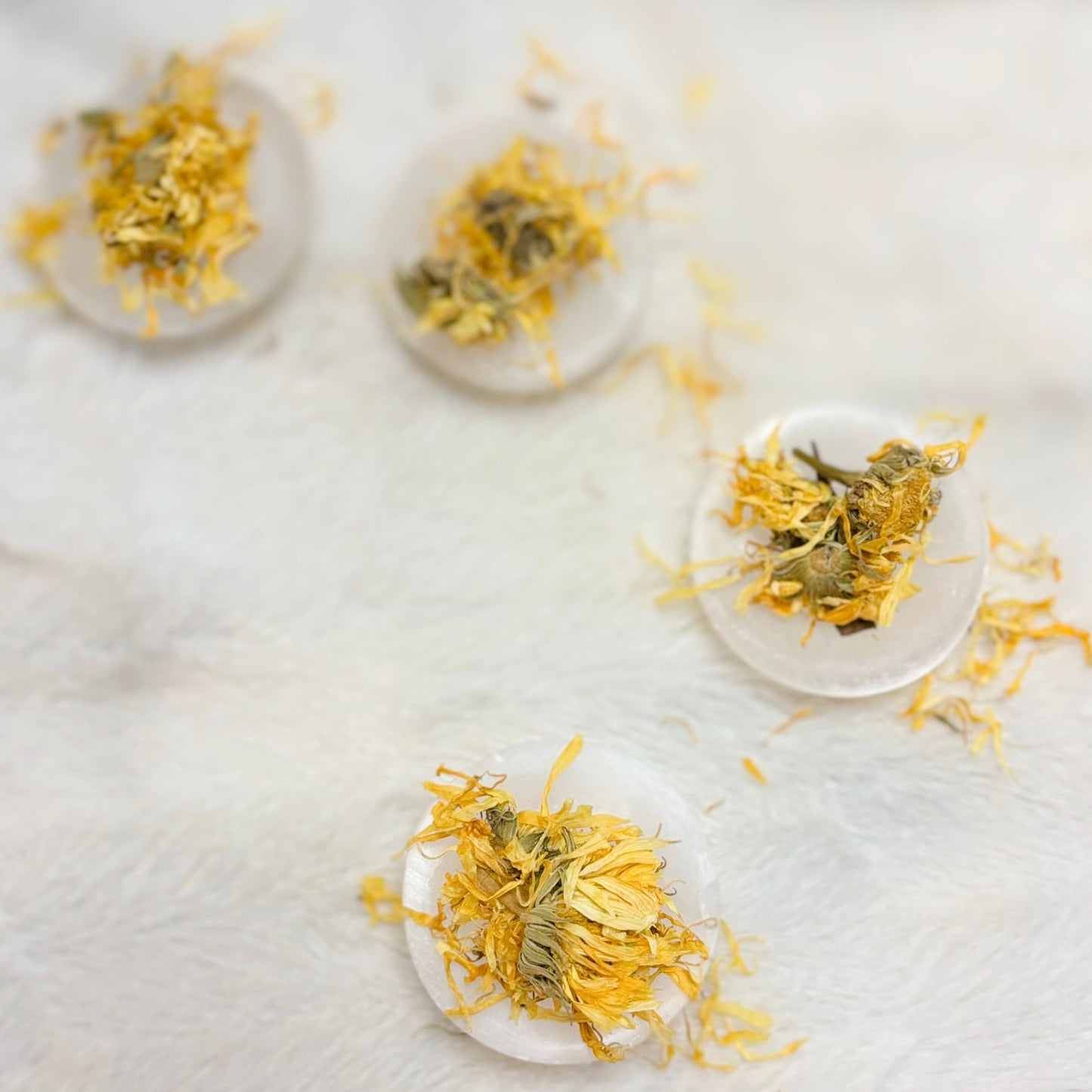 Dried Herbs | Calendula